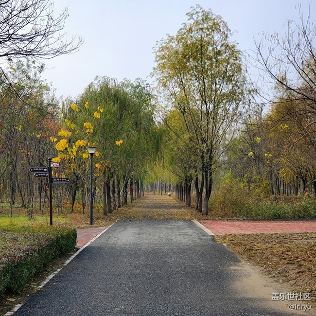 【關于蜀地的冬】+ 感受冬來