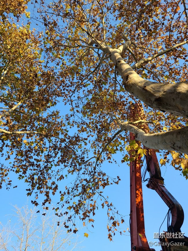 【Galaxy影像】#時(shí)光你慢些走+時(shí)光匆匆