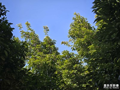 【喜迎雙節(jié)】+更加美好