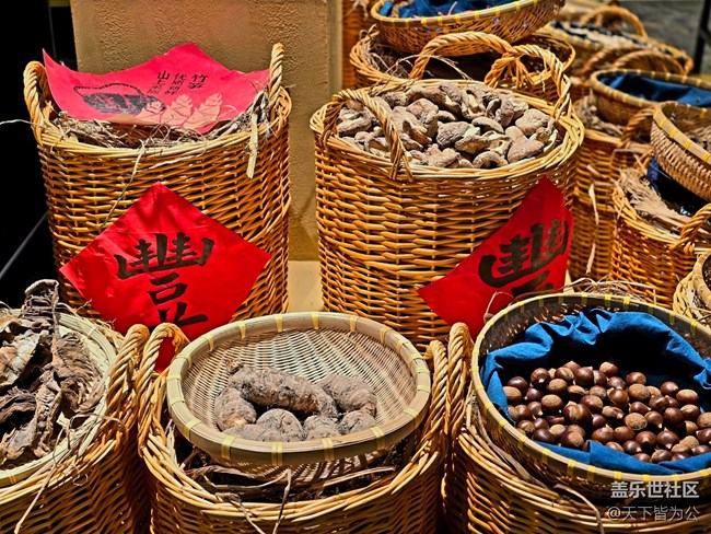 【望仙谷城市店線下攝影活動】+活動回顧