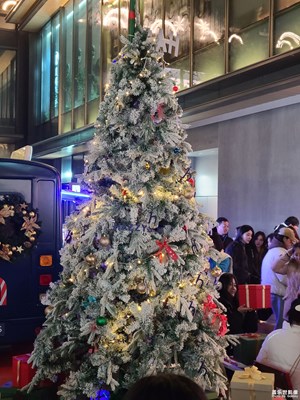 【喜迎雙節(jié)】+熱鬧圣誕