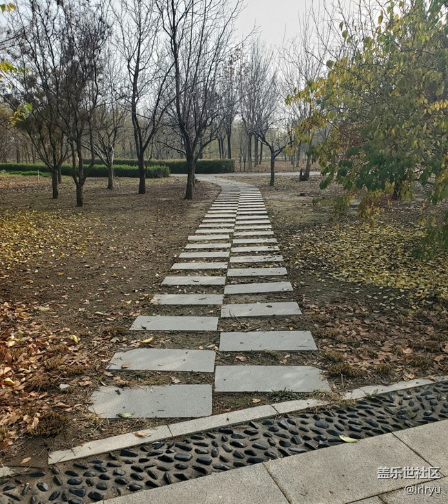 【關于蜀地的冬】+ 感受冬來