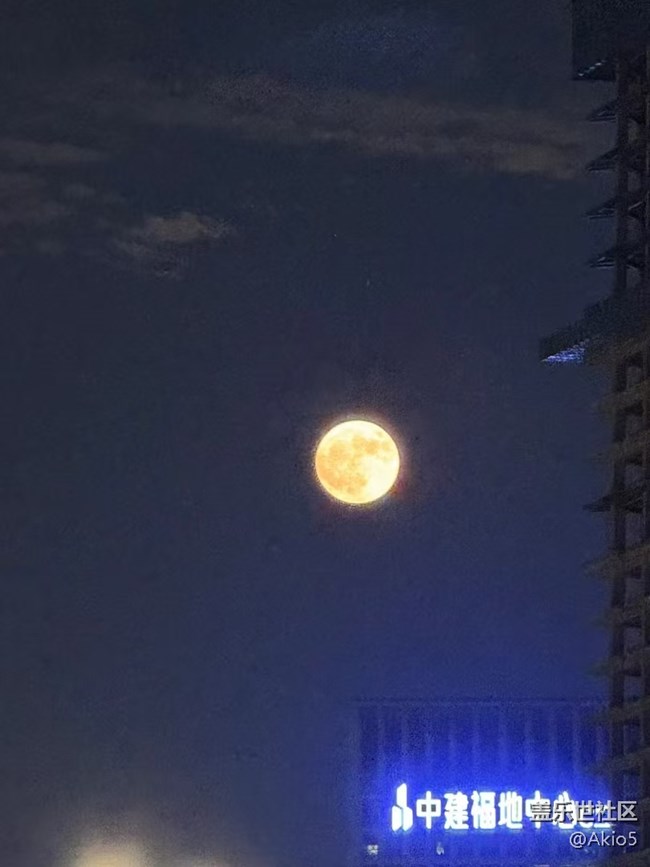 【我的年度總結(jié)】2024夏天