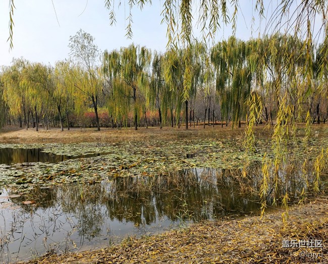 【關于蜀地的冬】+ 感受冬來