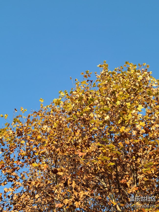 【Galaxy影像】#時(shí)光你慢些走+時(shí)光匆匆