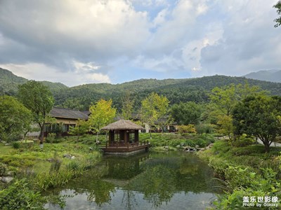 手機(jī)里的風(fēng)景照