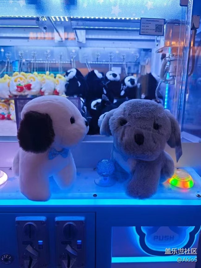 【我的年度總結(jié)】普通