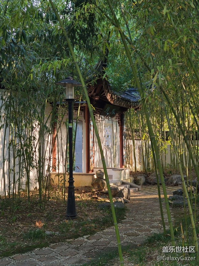 【Galaxy影像】#時(shí)光你慢些走+時(shí)光匆匆