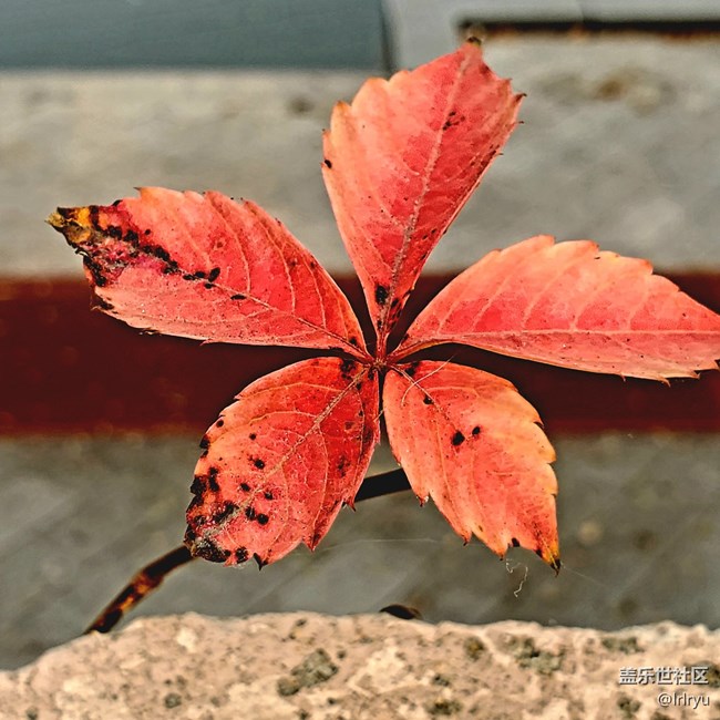 【Galaxy影像】#時光你慢些走+感受自然的流轉