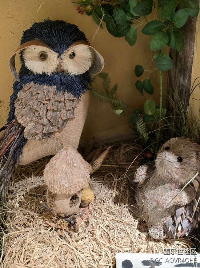 【望仙谷城市店線下攝影活動(dòng)】+望仙谷城市店