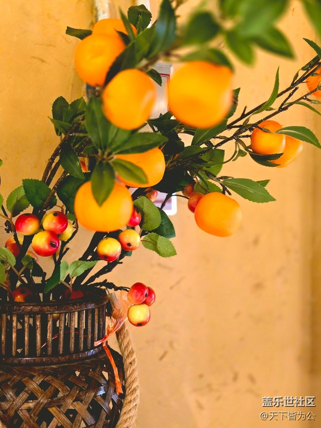 【望仙谷城市店線下攝影活動】+活動回顧