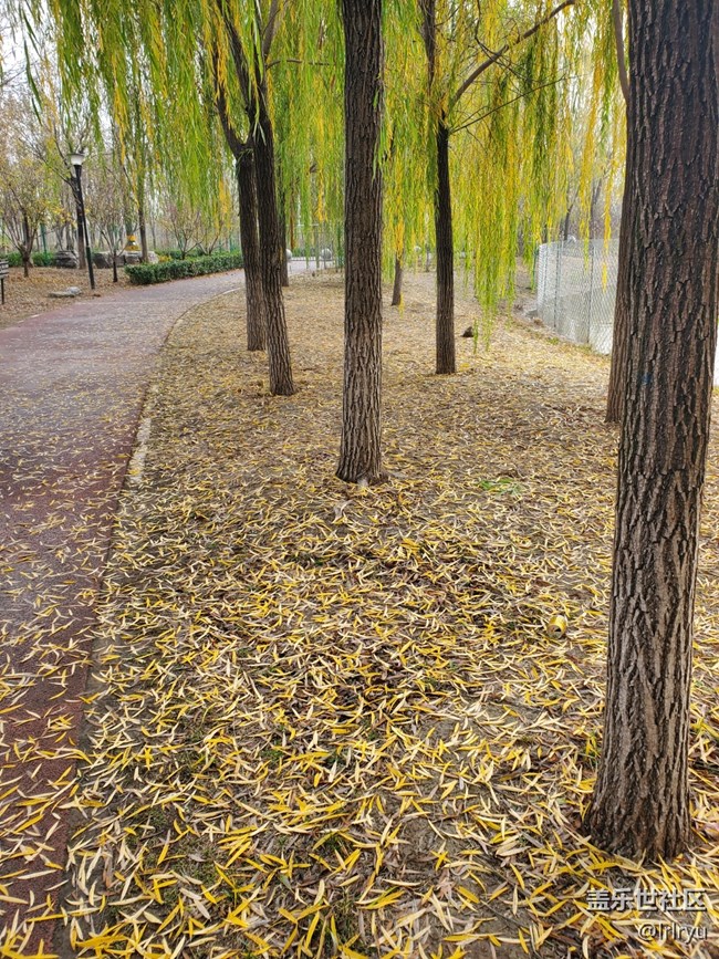 【Galaxy影像】#時光你慢些走+感受自然的流轉