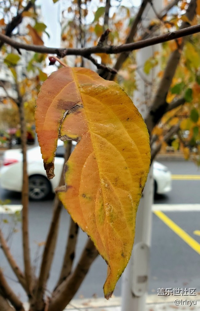 【Galaxy影像】#時光你慢些走+感受自然的流轉