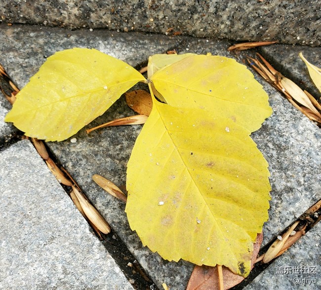 【Galaxy影像】#時光你慢些走+感受自然的流轉