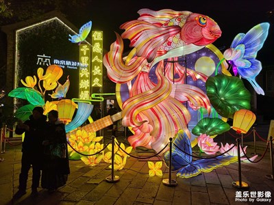 【喜迎雙節(jié)】熱鬧圣誕節(jié)