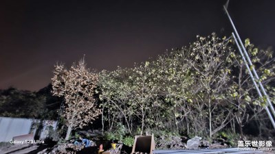 【喜迎雙節(jié)】+加班