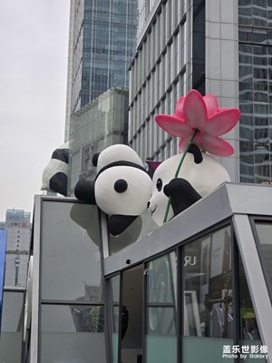 【喜迎雙節(jié)】元旦前夕