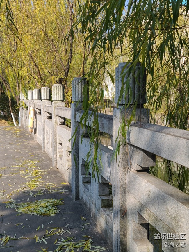 【又是一年冬】+落葉紛飛