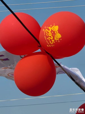 【喜迎雙節(jié)】陽光明媚的歲末