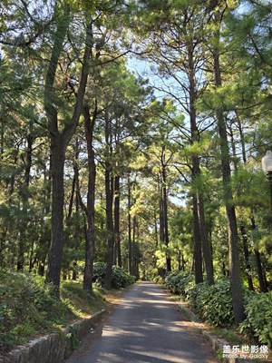 手機(jī)里的風(fēng)景照