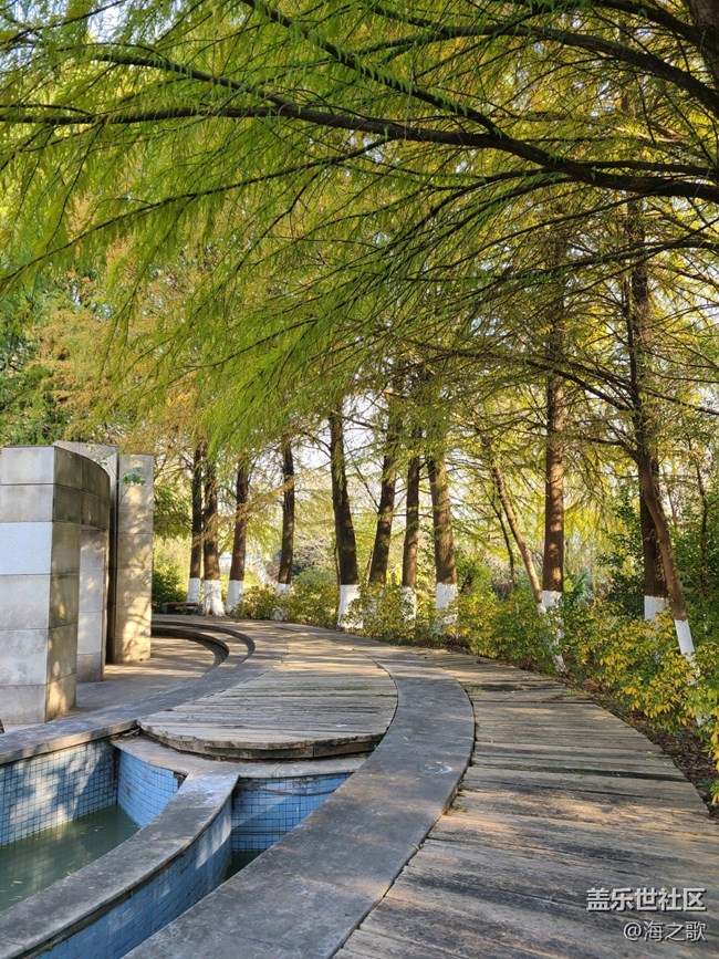 【Galaxy影像】#時(shí)光你慢些走+舊時(shí)光