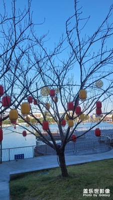 【新年好】+溫馨的氛圍