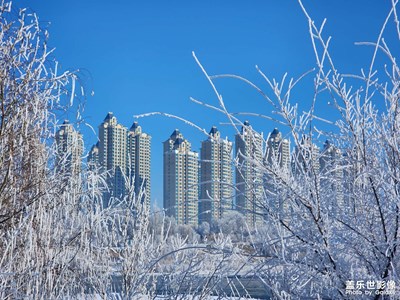 【新年好】霧凇與樓宇