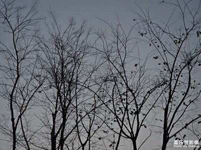 過節(jié),回鄉(xiāng)團(tuán)聚