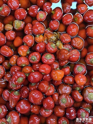 【新年好】元旦市井煙火氣