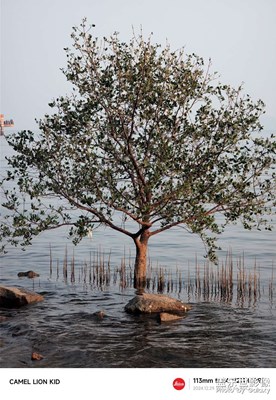 【新年好】happy new year