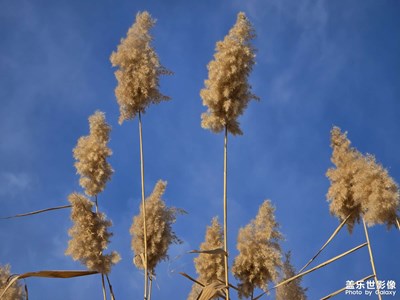 【新年好】+烏魯木齊南湖廣場