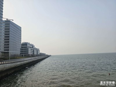 [新年好]祝福如愿