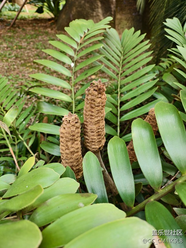 【2025你好】幸福時光