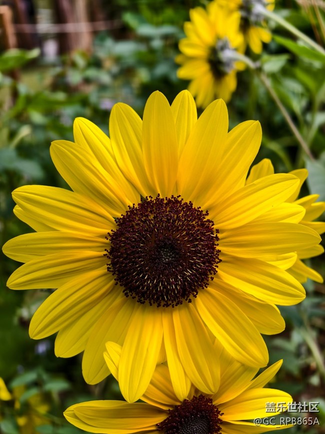 【2025你好】生命不息，奮斗不止