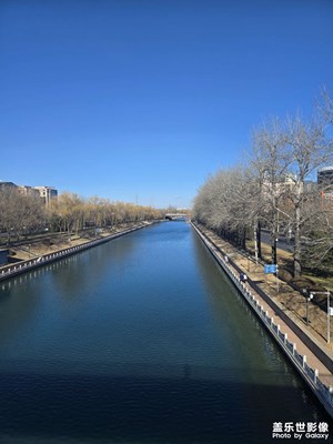 【新年好】+午后散步