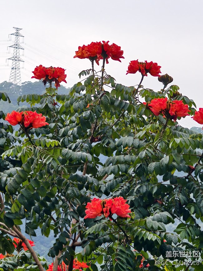 【2025你好】幸福時光