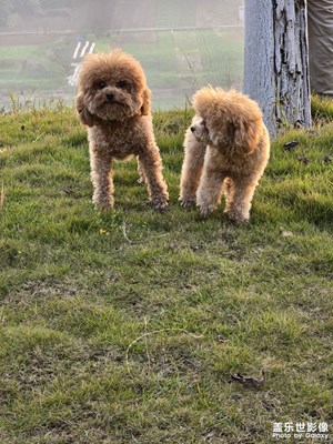 【新年好】Sunny Drinking 