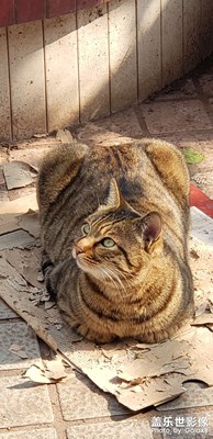 【新年好】大太陽下曬太陽