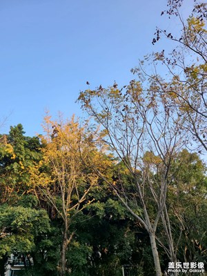 【新年好】+2024最后一天