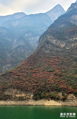 并不完美，但卻自由