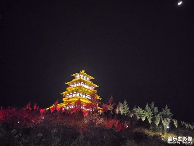 【新年好】+夜景隨拍