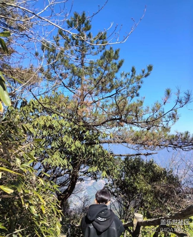 【2025你好】爬雪山