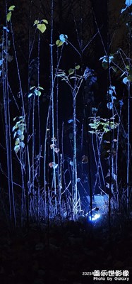 火樹銀花不夜天