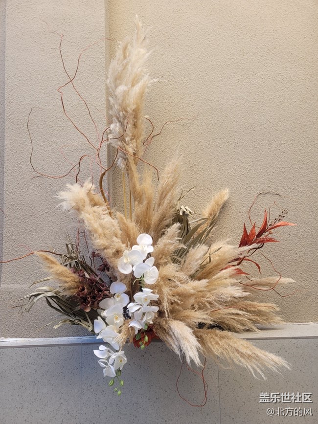 【非遺竹編展】+ 星部落--新年第一次活動(dòng) 【非遺竹編展】+ 星部落--新年第一次活動(dòng)