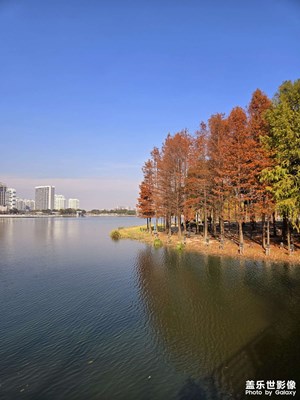 【新年好】+逛公園