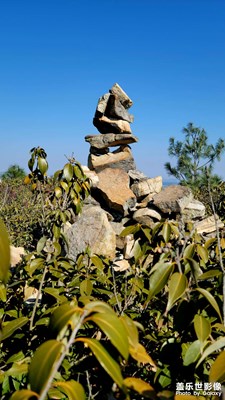 【新年好】+新年新氣象