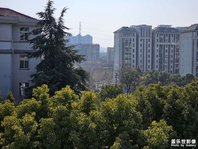 【新年好】陽光明媚