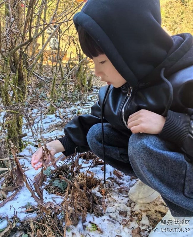 【2025你好】爬雪山