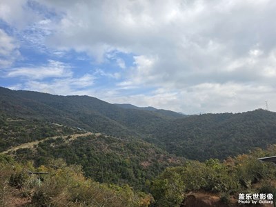 【新年好】大山