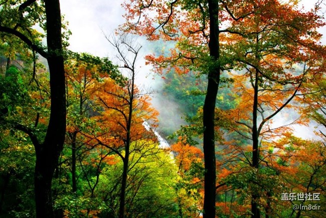 攀登東天目大仙頂，無(wú)限風(fēng)光在頂峰！